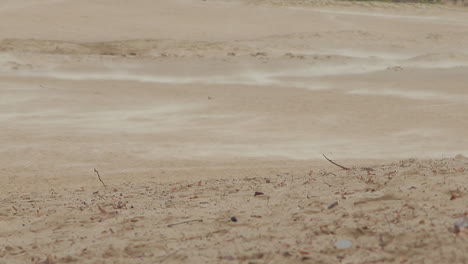 static shot of a desert gust of wind