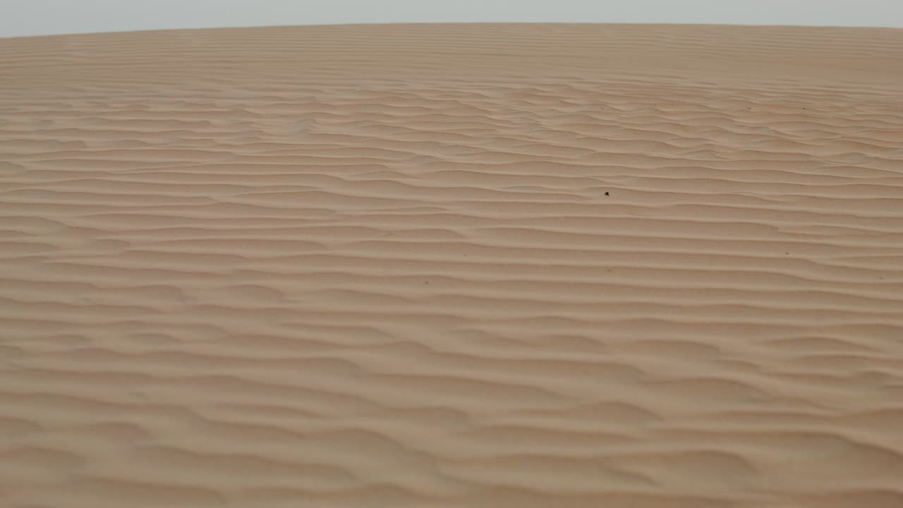 duna de arena del desierto