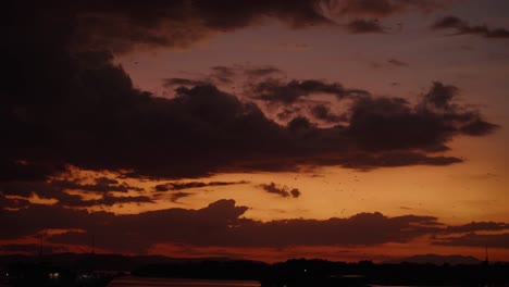Sunset-Backlighting-Birds-and-Bats-fly-over-Komodo-Island-Beach-Orange-Sky,-National-Park-in-Indonesia,-Golden-Hour