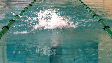 fit swimmer doing the butterfly stroke in the swimming pool