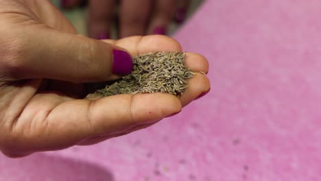 black cumin seeds are kept on a tray