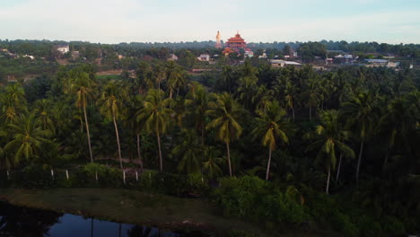 aerial panning view of buddhist temple into tall palm trees vegetation