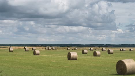 hay bales are neatly arranged on the field