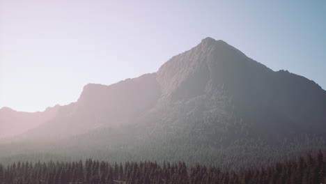 a majestic mountain peak in a foggy forest