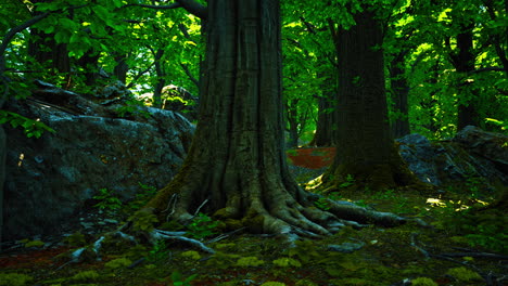 root covered with moss in a dark forest