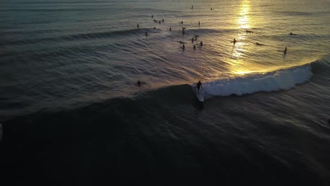 surfer riding wave in golden sunset reflection aerial tracking backwards