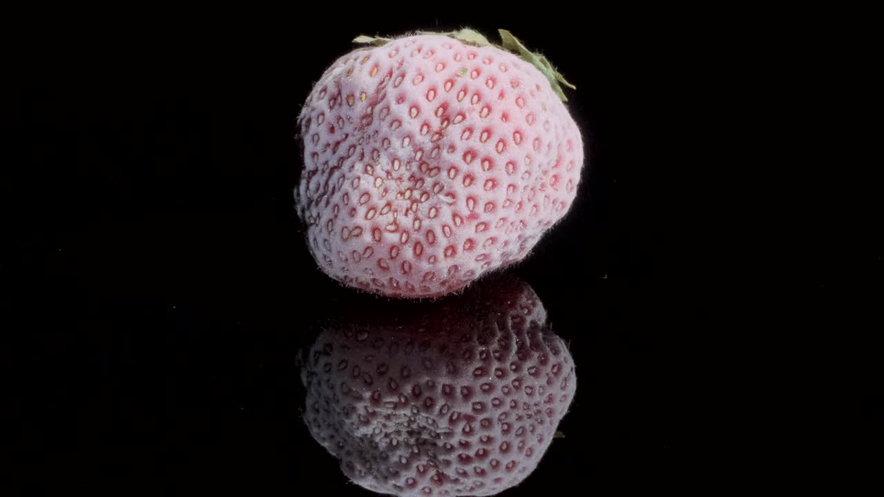 검은색 유리판에 냉동 된 딸기, 검은색 배경, 360도 회전, 클로즈업