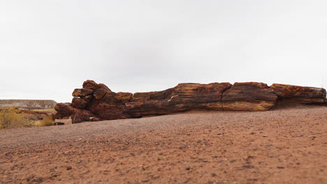 tronco de madera gigante con tierra árida en el parque nacional del bosque petrificado, tiro panorámico