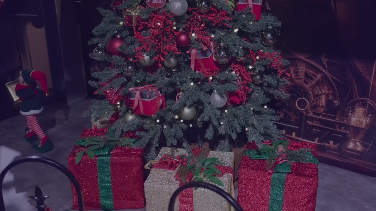 Big Christmas gifts under tree in Schilliger in Gland Switzerland