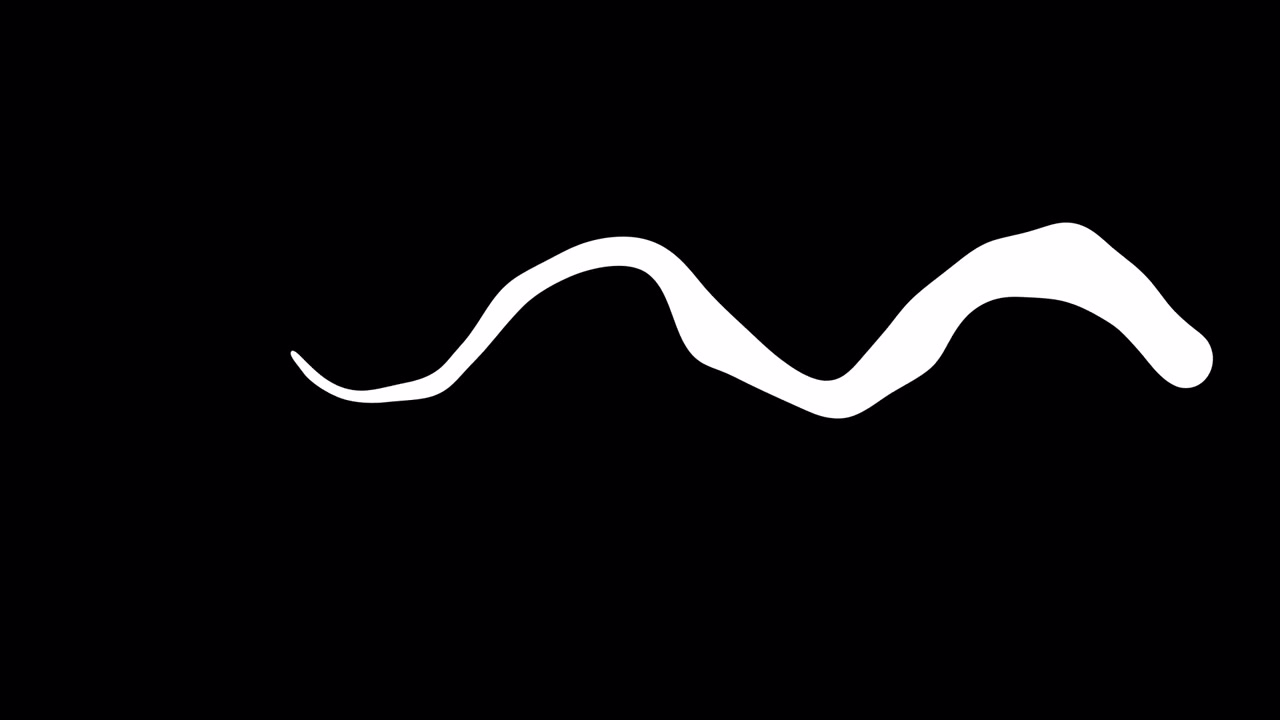 Linee 28