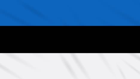 estonia flag waving cloth background, loop