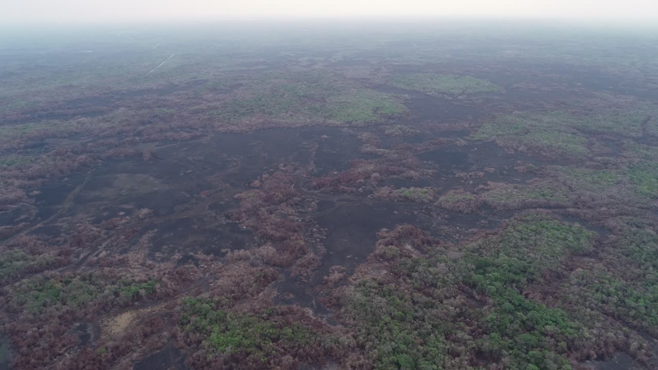 paisaje negro quemado tomada aérea en brasil después de los incendios forestales en todo el país