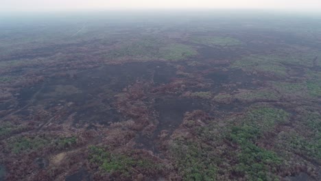 Toma-Aérea-Del-Paisaje-Negro-Quemado-En-Brasil-Después-De-Un-Incendio-Forestal-En-Todo-El-País