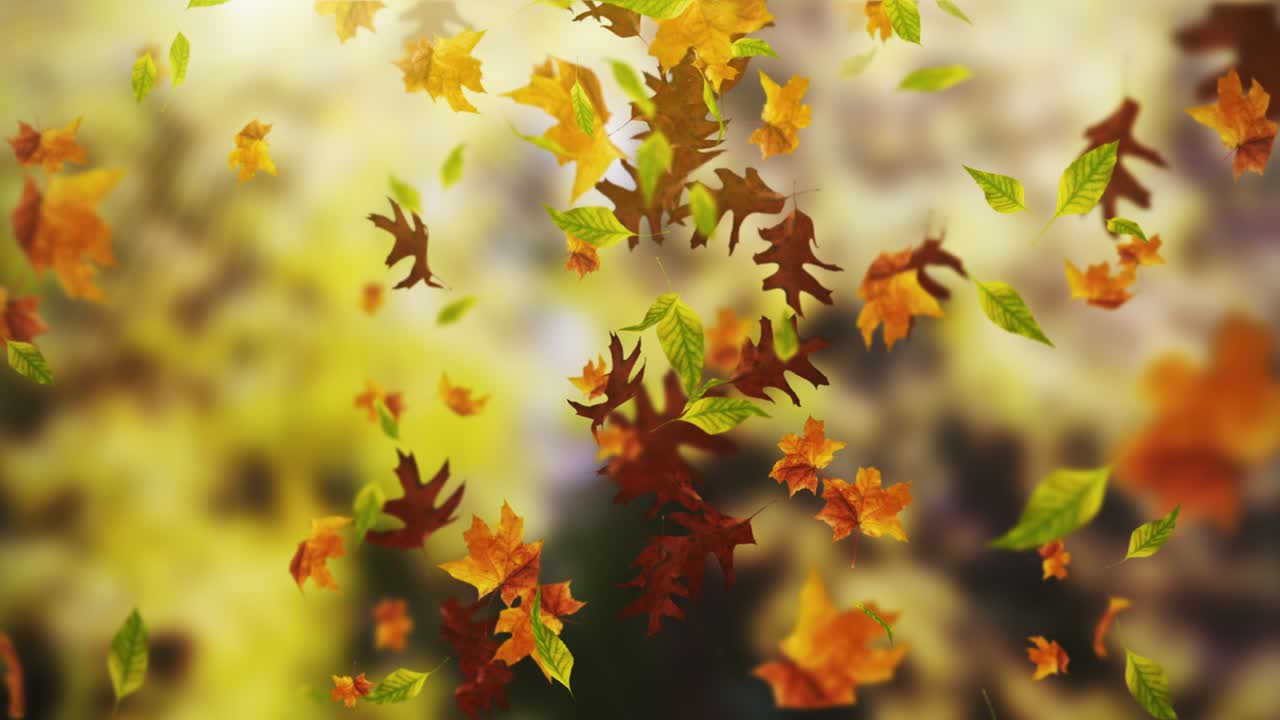 animación de las hojas que caen bucle otoño