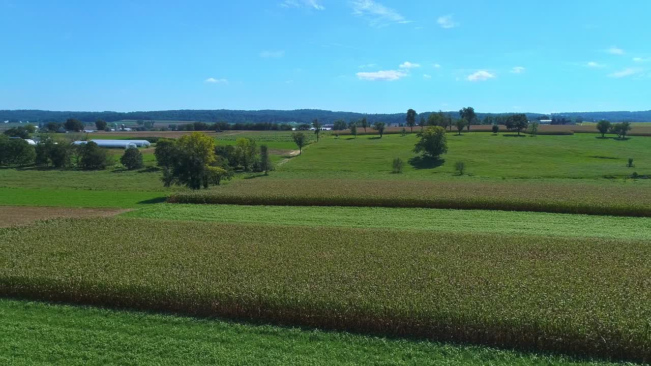 A Drone Rotating View of Farmlands and Corn Crops Waiting to be Harvested Along Side a Railroad Track on a Fall Day