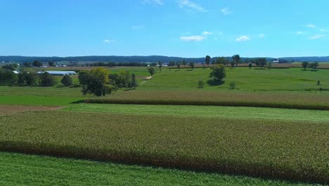 a drone rotating view of farmlands and corn crops waiting to be harvested along side a railroad track on a fall day