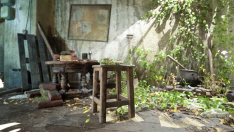 overgrown abandoned house interior