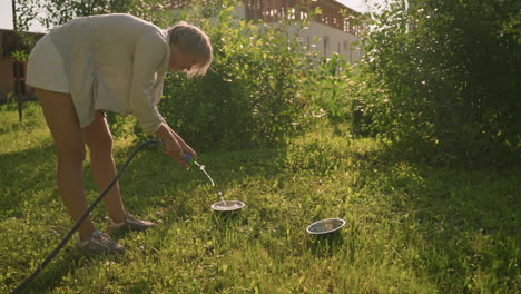 woman using hose to pour water into metal plate on grassy ground, with second empty plate nearby, scene captures natural sunlight and greenery with a tall building in background