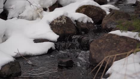Small-winter-stream-in-a-forest