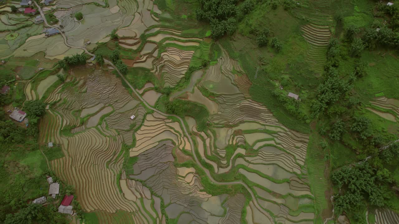 vista aérea de campos de arroz en terrazas en sapa, vietnam, que muestran patrones intrincados y vegetación exuberante