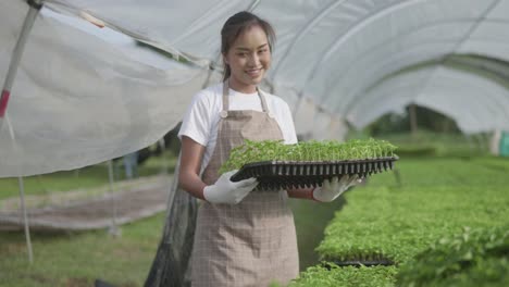 young beautiful woman's carrying vegetable