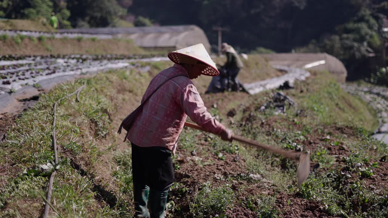 Farmers working in an agricultural field with greenhouses