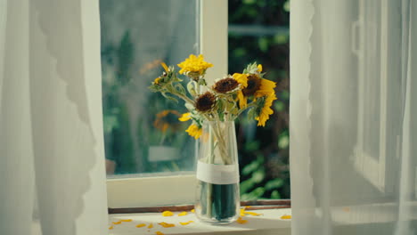 dried sunflowers in a vase by the window