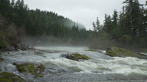 Wide-angle-shot-of-south-umpqua-river-and-foggy-forest