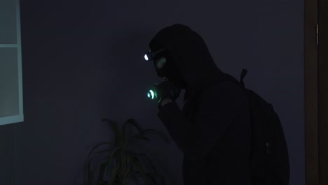 a thief with a flashlight entering the house.