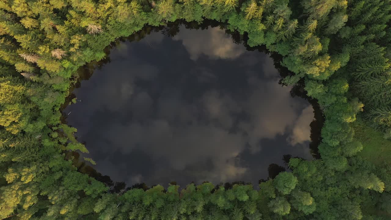 Lago na floresta com reflexo das nuvens
