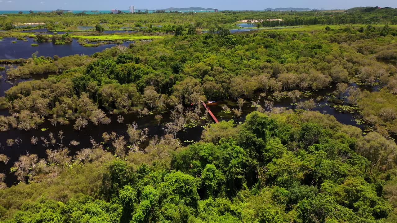puente de madera roja con una pareja de turistas caminando en el bosque de manglares del jardín botánico en rayong, tailandia, inclinación aérea hacia abajo