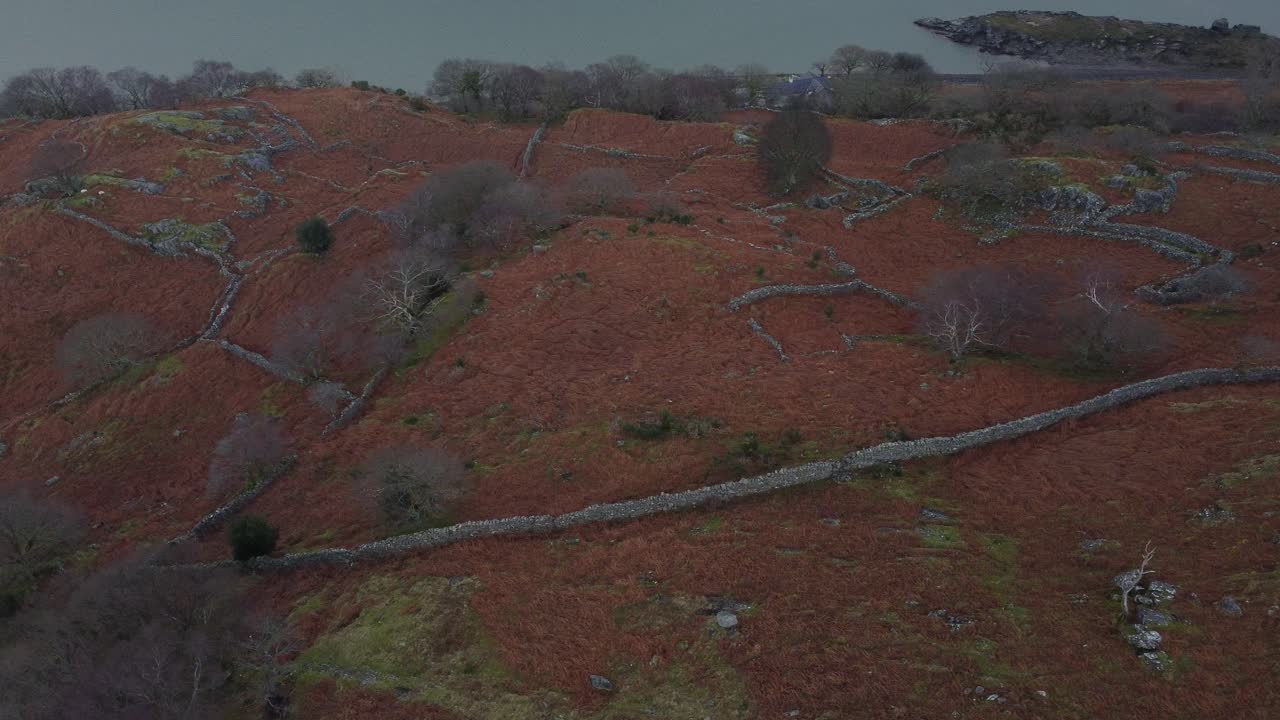 mirando hacia abajo en algunos campos coloridos junto a un lago en gales