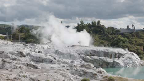 Steam-coming-from-rocks-in-a-geothermal-active-area-in-Rotorua,-New-Zealand