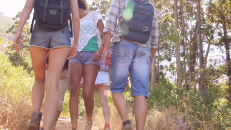 Low-angle-rear-view-shot-of-friends-walking-through-a-forest