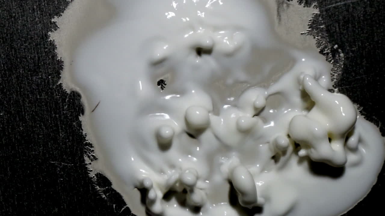 젤라틴 모양의 외계 덩어리가 돌기를 움직여 산란을 던집니다.