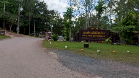 a peaceful drive through lush forest roads