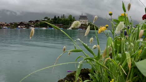 view of the wonderful village of iseltwald, switzerland, interlaken