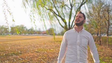 cantante adulto hombre cantando bajo un árbol de sauce llorando en un campo de oro en washington dc durante una hermosa puesta de sol