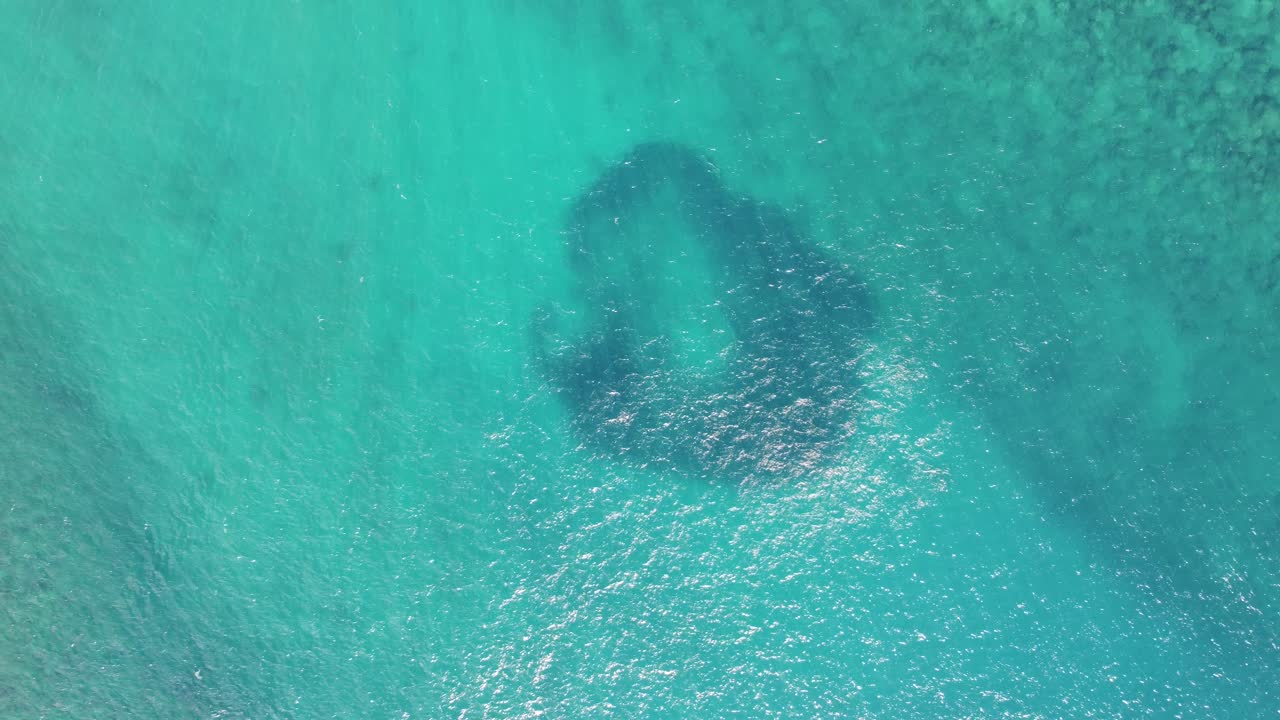 video aéreo de arriba hacia abajo de una bola de cebo o un banco de peces refugiándose en aguas poco profundas y claras de color turquesa en el arrecife de koloa landing, kauai, hawai, costa del pacífico de los estados unidos