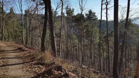 panorámica desde la vista de la montaña hasta la ruta de senderismo en la montaña alemana durante el soleado día de invierno