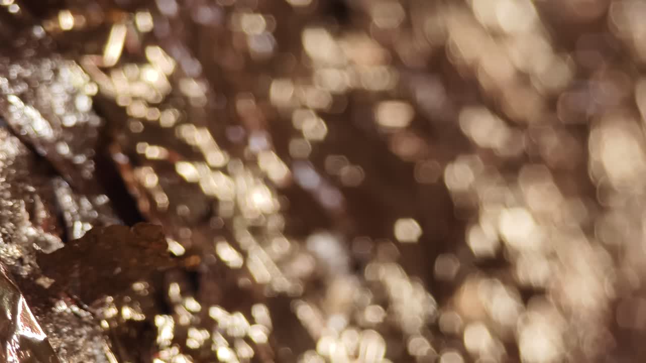 Blurry Brown Bokeh Background