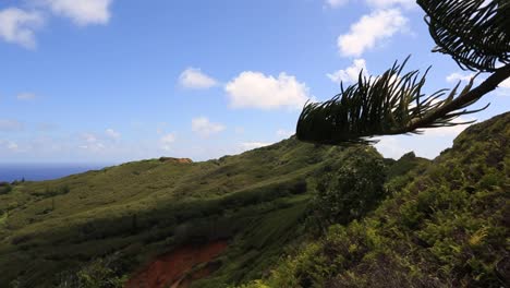 Extreme-wind-on-the-Pitcairn-Island