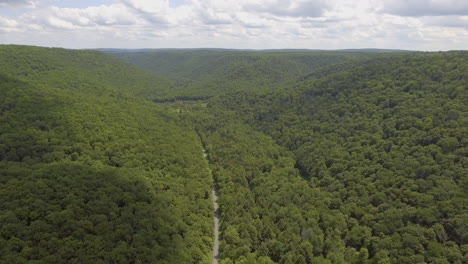 toma aérea épica de un cañón en el parque estatal lyman run, pensilvania