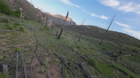 fpv drone flight in san isabel national forest shows aftermath of wildfires