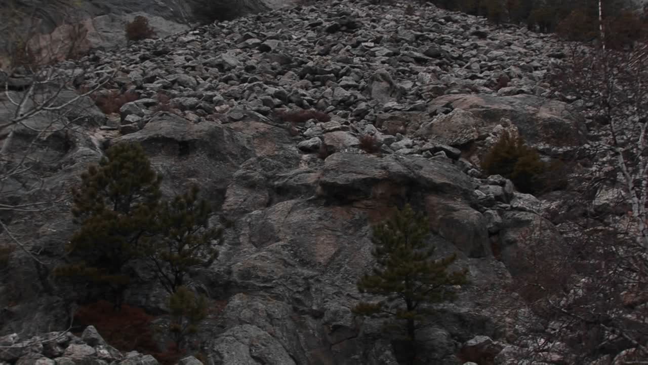 마운트 러시모어의 파노라마