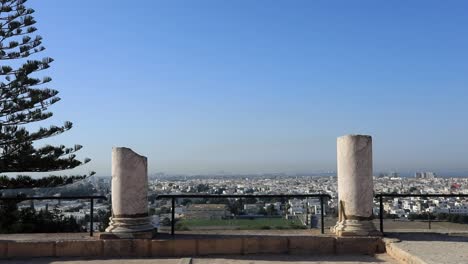 Pine-tree-and-ancient-Roman-columns-overlooking-Carthage,-Tunisia-skyline,-clear-day