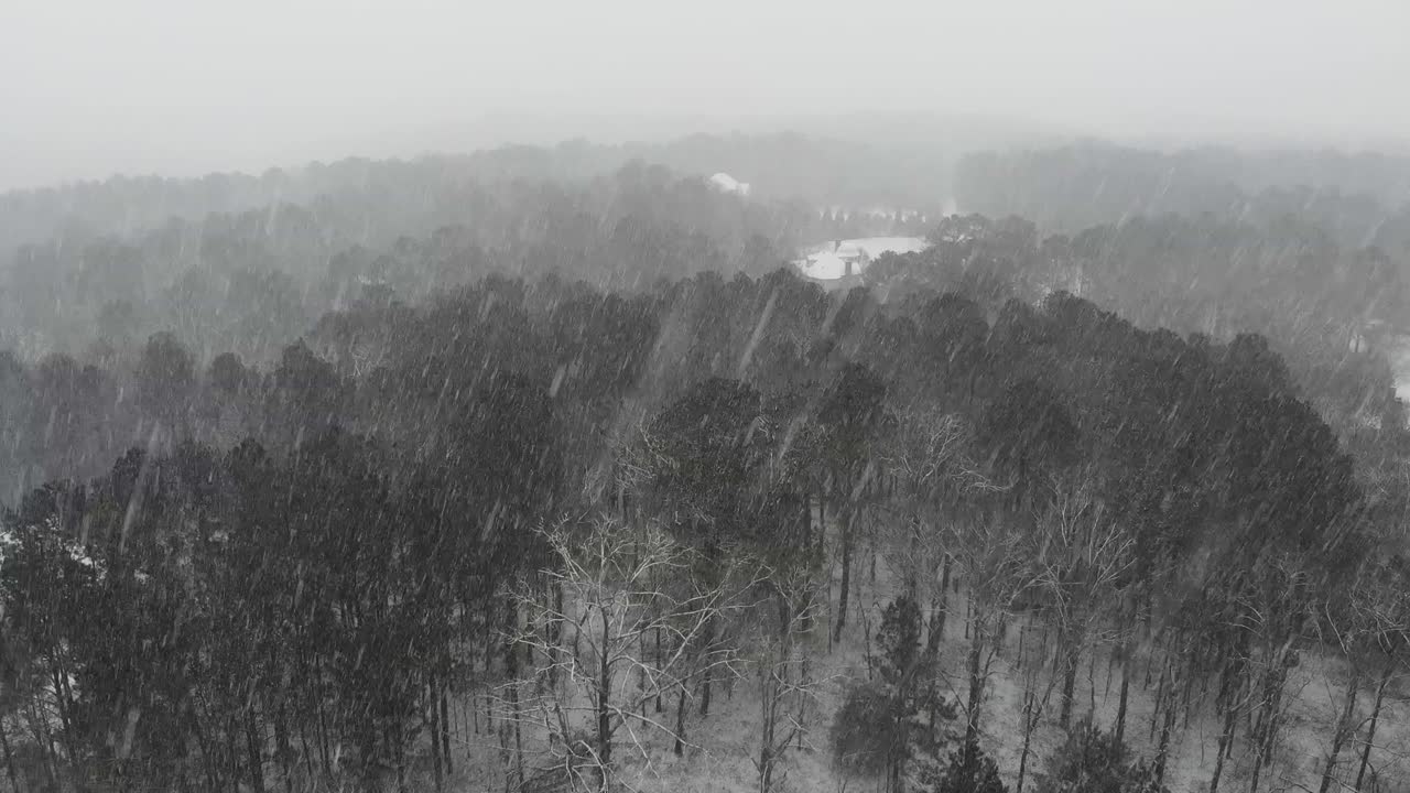Snow slowly falling over a rural area of trees early in the morning
