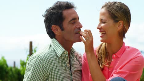 happy young woman feeding grape to man in field