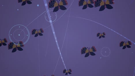 Animation-of-network-of-connections-over-butterflies-on-purple-background