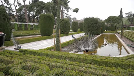 wide shot of cecilio rodriguez garden beautiful landmark at retiro park, madrid, spain